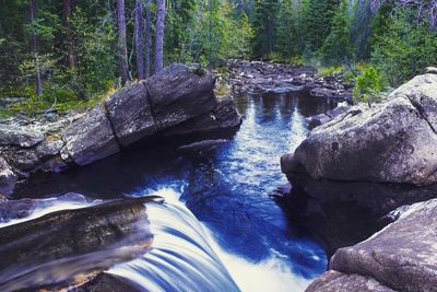 Stream flowing through rocks in forest