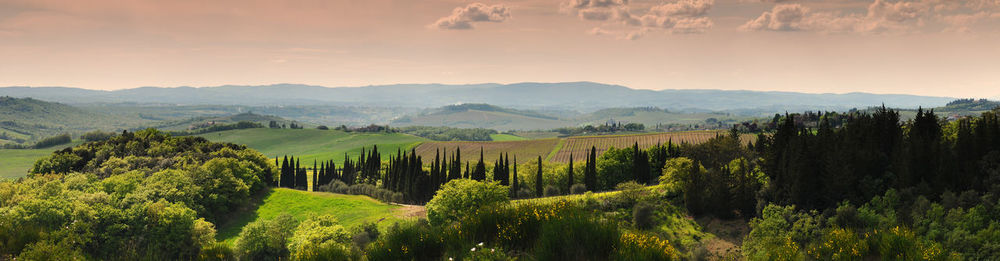 Scenic view of landscape against sky during sunset