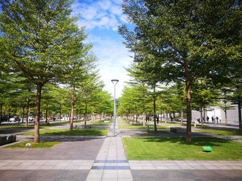 View of trees in city