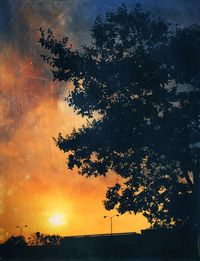 Low angle view of silhouette tree against sky during sunset