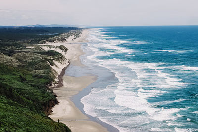 Beautiful view to the pacific coast of oregon on sunny summer day, sand beach and blue ocean