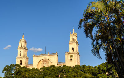 Low angle view of palm trees and building against sky