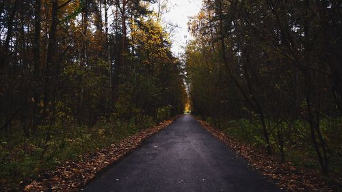 Road amidst trees in forest during autumn