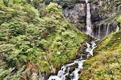 Scenic view of waterfall in forest