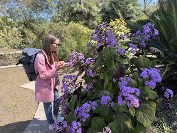 Rear view of woman picking flowers