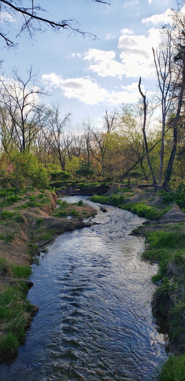 SCENIC VIEW OF STREAM FLOWING AMIDST TREES IN FOREST AGAINST SKY