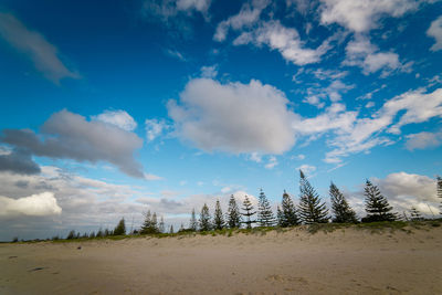 Scenic view of land against sky