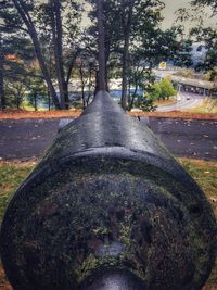 Close-up of stone wall with trees in background