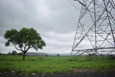 Trees on field against sky