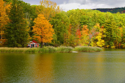 Scenic view of lake in forest during autumn