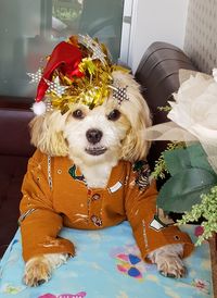 Portrait of dog with flowers