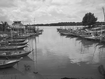 Boats moored in marina against sky