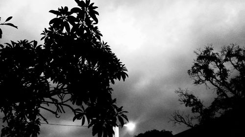 Low angle view of silhouette trees against cloudy sky