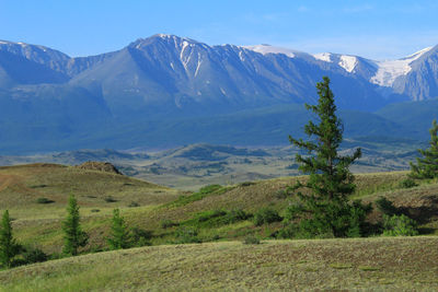 North-chuisky ridge and kuraiskaya steppe in altai, mountains with snow-capped peaks  in summer