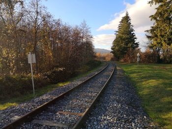 Empty railroad track amidst trees against sky