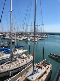 Sailboats moored in harbor