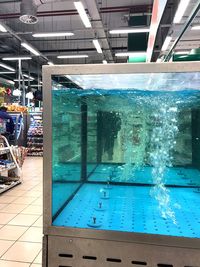 Swimming pool in sea seen through glass window