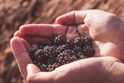 Midsection of person holding fruit
