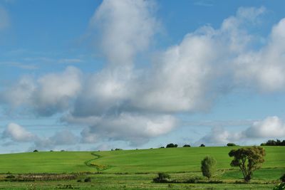 Scenic view of agricultural field against sky