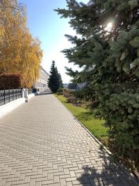 Footpath amidst trees in city against sky