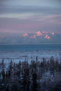 Scenic view of sea by snowcapped mountains against sky during sunset