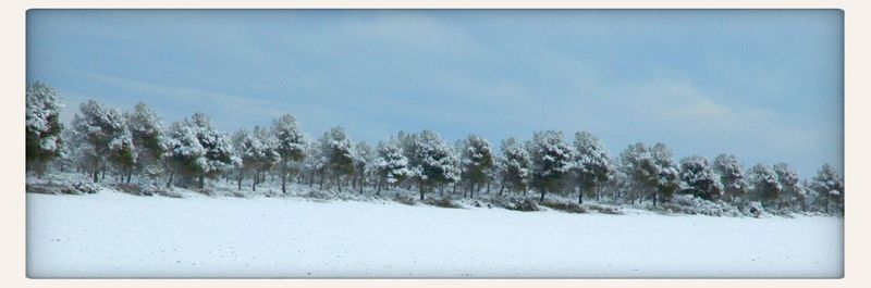 Scenic view of snow covered field against blue sky