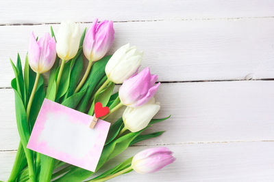 Close-up of pink tulip flowers on table