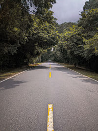 Empty road amidst trees