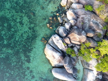 High angle view of rocks in water