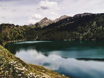 Scenic view of lake by trees against sky