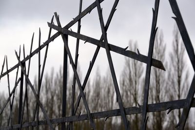 Close-up of chainlink fence