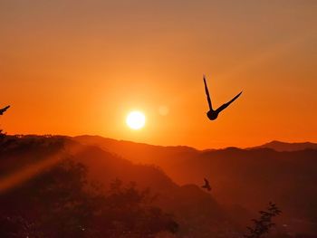 Silhouette bird flying over mountains against orange sky