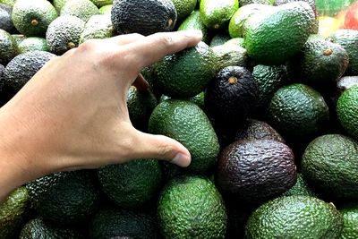 Close-up of hand holding fruits