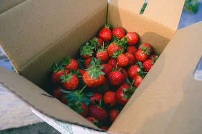 High angle view of strawberries in container