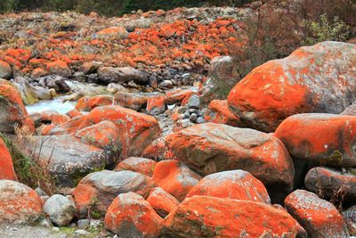 Full frame shot of rocks