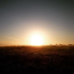 Scenic view of landscape at sunset