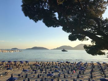 Group of people on beach against sky