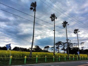 Scenic view of field against cloudy sky