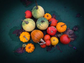 High angle view of pumpkins on table