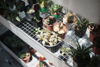 High angle view of food on table