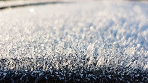 Close-up of frozen water on landscape