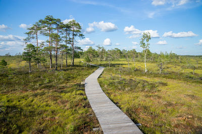 Dirt road along plants and trees against sky