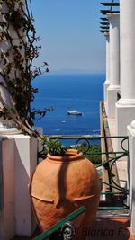 Potted plants by sea against sky