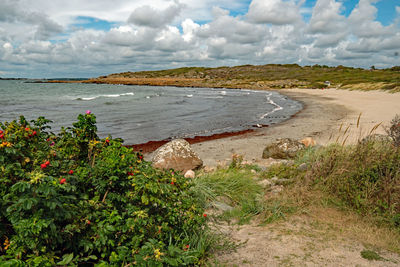 Scenic view of beach against sky