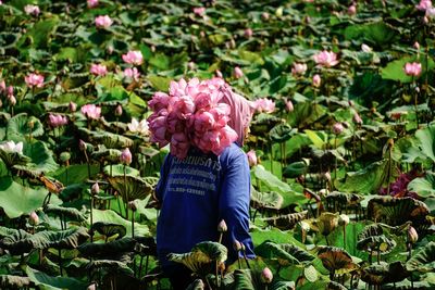 Rear view of woman standing with lotus water lily