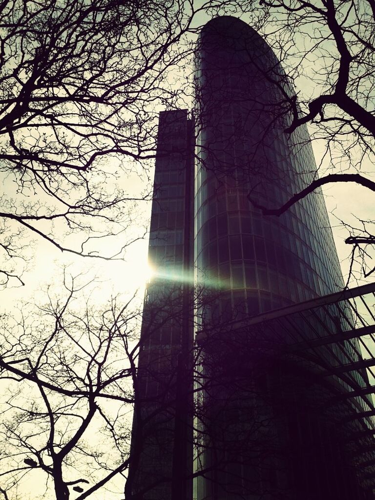 architecture, built structure, low angle view, building exterior, tree, bare tree, skyscraper, branch, city, tower, tall - high, modern, office building, sky, sun, silhouette, building, sunbeam, no people, sunlight