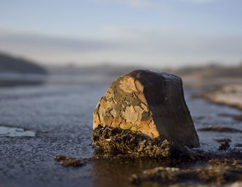 Close-up of stones on shore