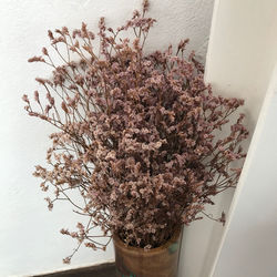 Close-up of wilted flower plant