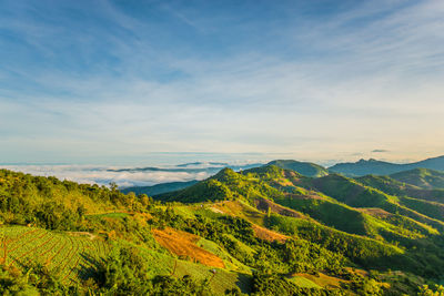 Scenic view of landscape against sky