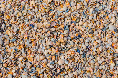 Full frame shot of stones